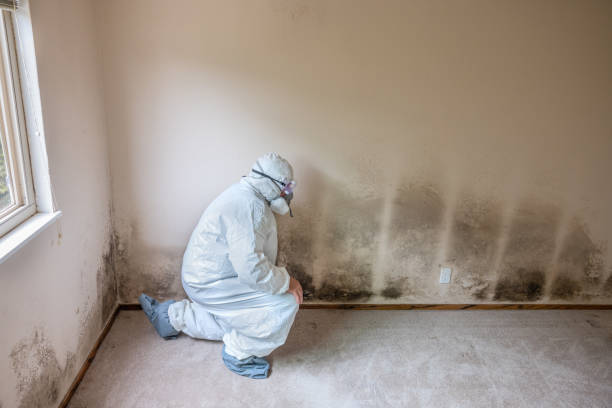Mold Removal Process in Sleepy Hollow Lake, NY